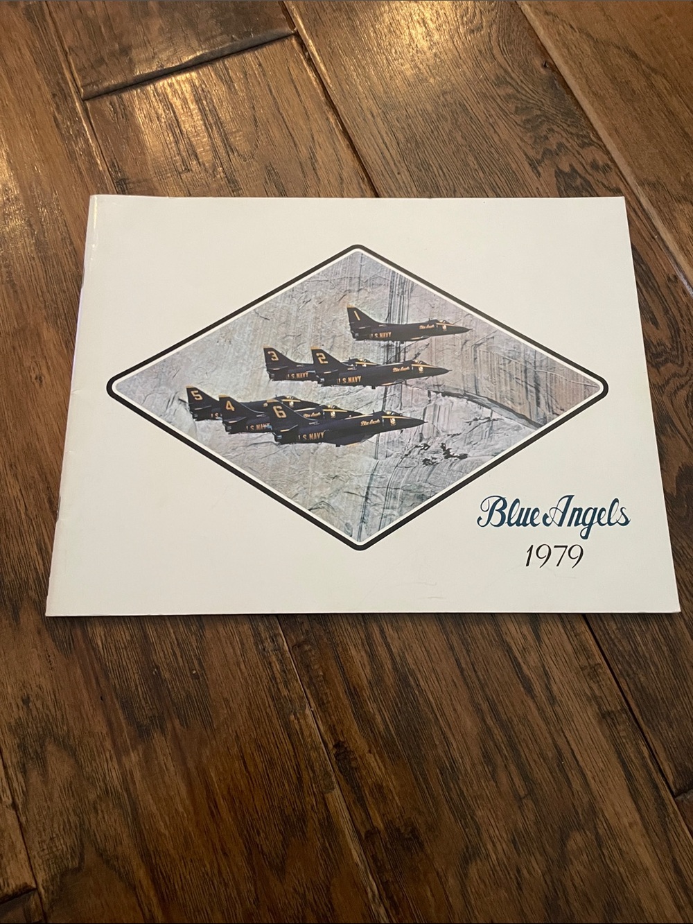 Blue Angels 1979 Book